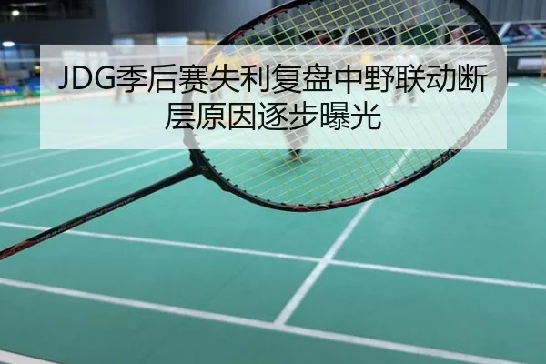 JDG季后赛失利复盘中野联动断层原因逐步曝光